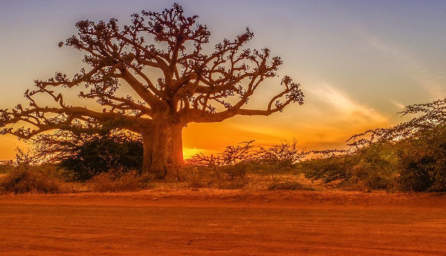 Séjour au Senegal