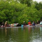 les iles du saloum