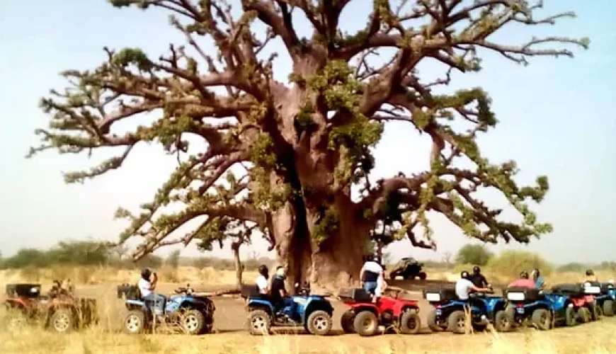 Voyages incentives au Sénégal